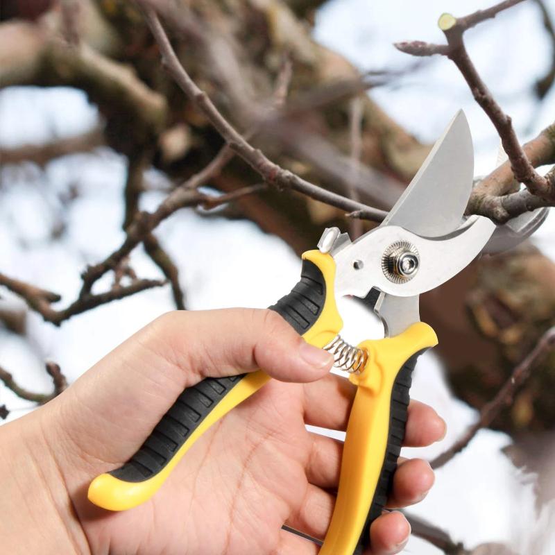 Ensemble d'Outils de Jardin avec Gants