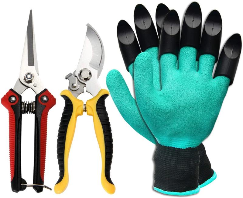 Ensemble d'Outils de Jardin avec Gants