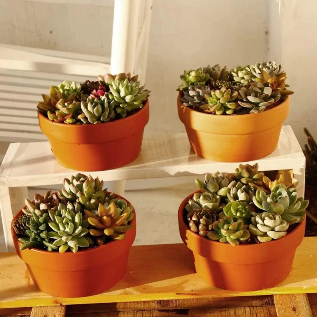 Pots de Fleurs en Terre Cuite Écologiques (4 + 2 Offerts)