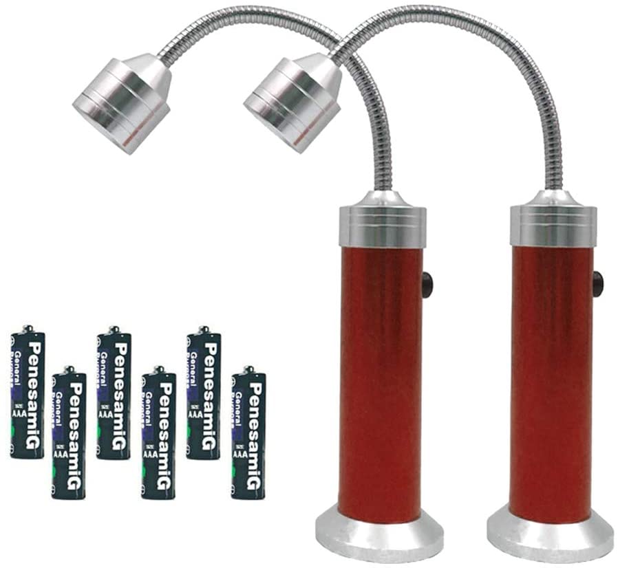 Lumières LED pour Barbecue Haut de Gamme