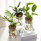 Pot de Fleur Hydroponique - Lot de 2