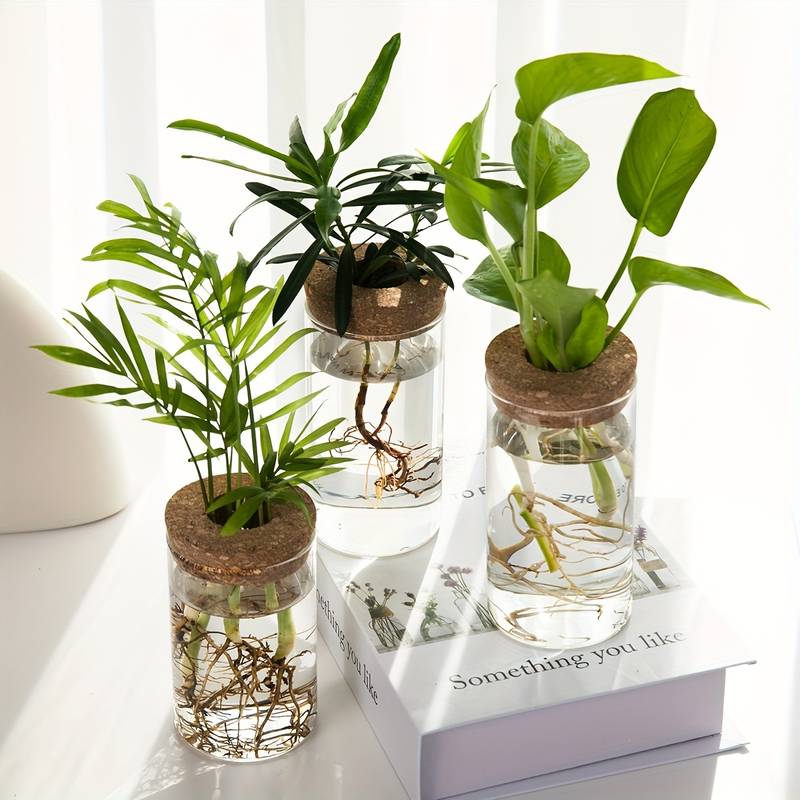 Pot de Fleur Hydroponique - Lot de 2