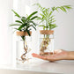 Pot de Fleur Hydroponique - Lot de 2