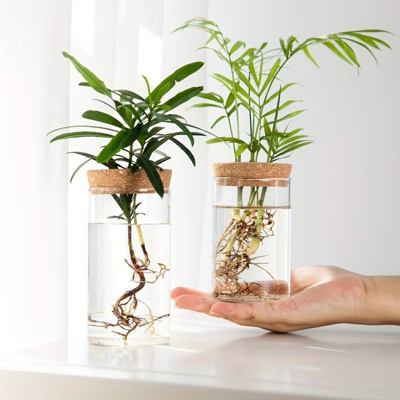 Pot de Fleur Hydroponique - Lot de 2